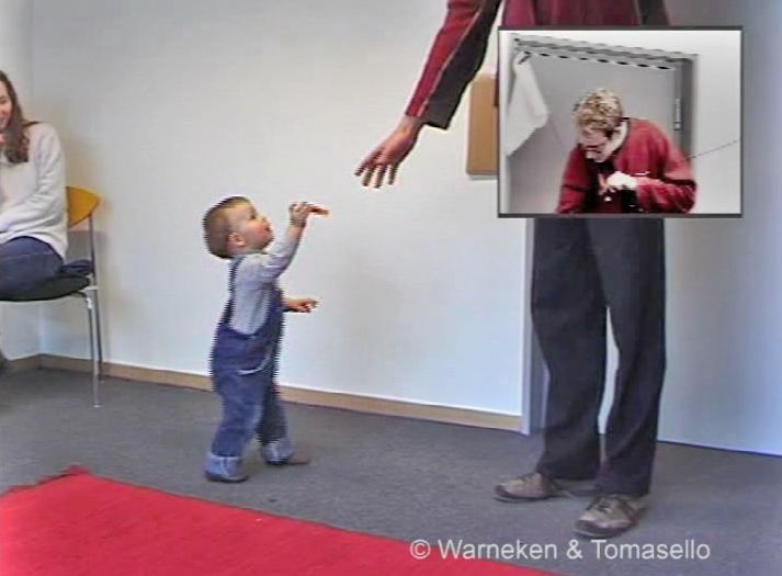 Altruistic human infants