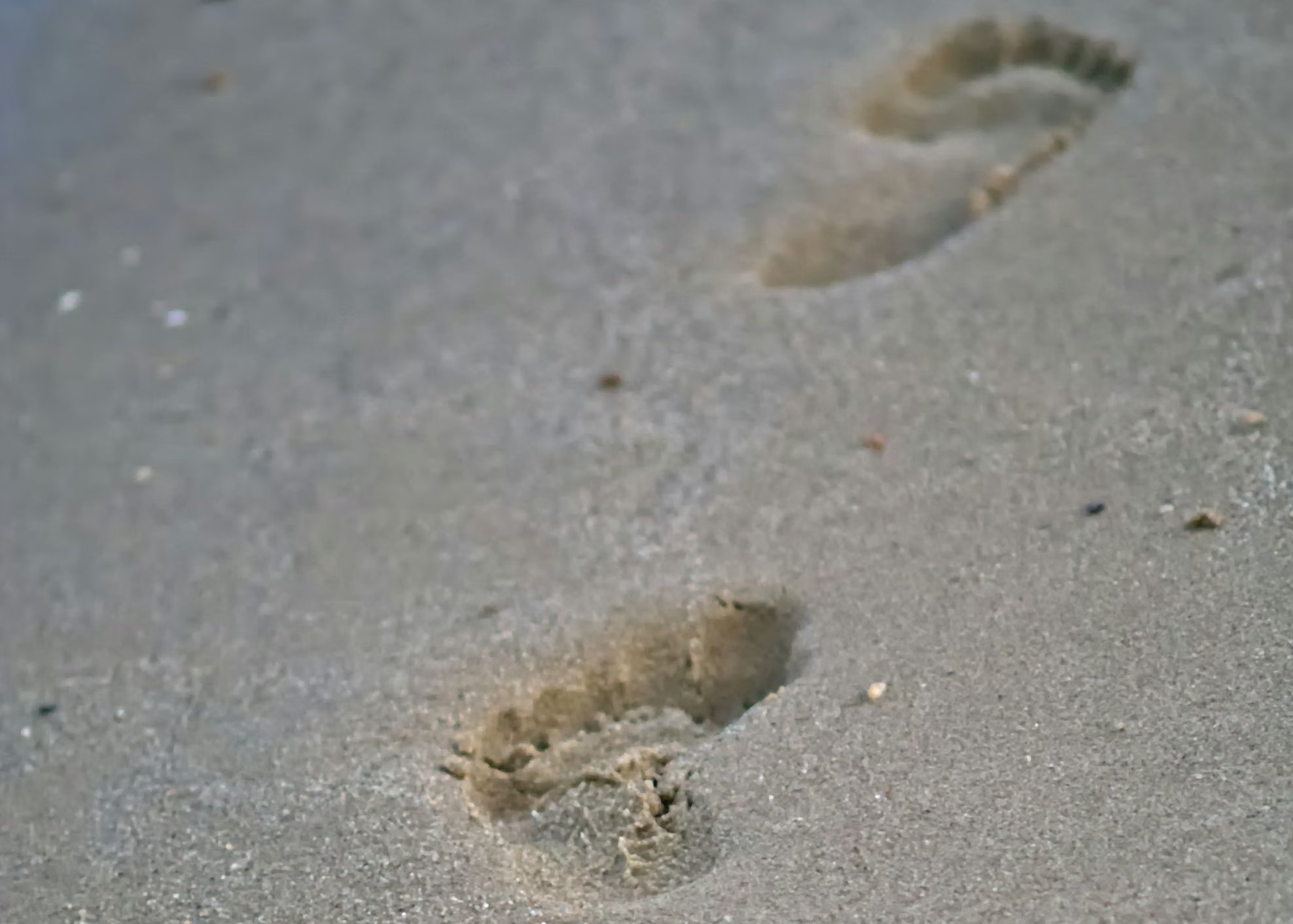 footprint